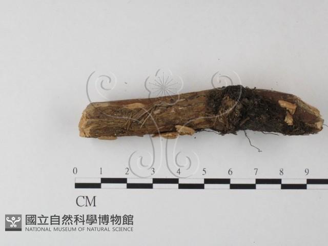 登錄號:F0023887藏品圖，第3張