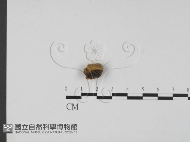 登錄號:F0013887藏品圖，第3張