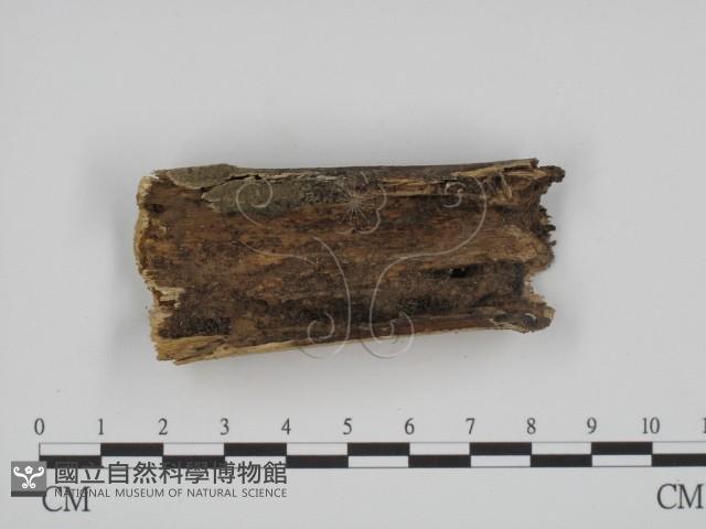 登錄號:F0018687藏品圖，第3張