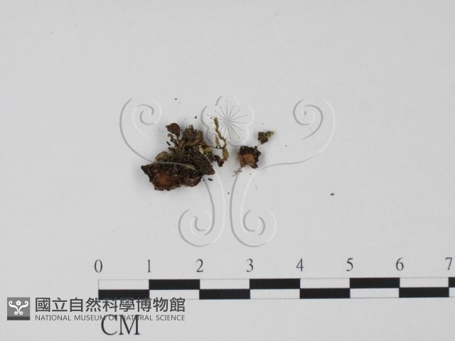 登錄號:F0000687藏品圖，第3張