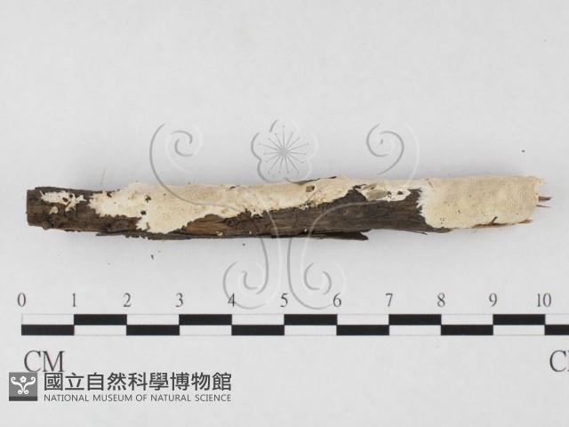 登錄號:F0026687藏品圖，第3張