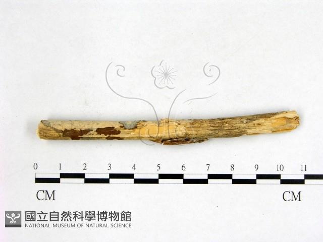 登錄號:F0021687藏品圖，第3張