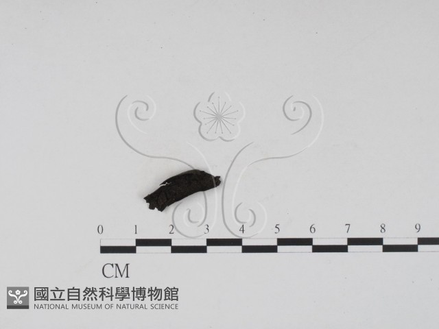登錄號:F0007687藏品圖，第3張