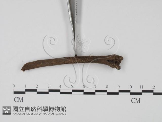 登錄號:F0005687藏品圖，第3張