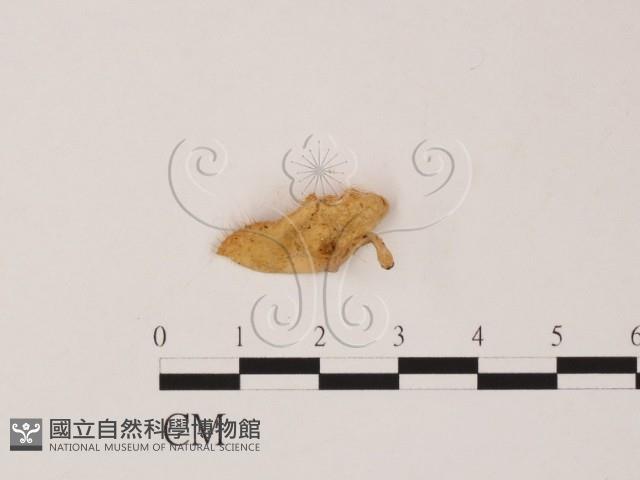 登錄號:F0015687藏品圖，第3張