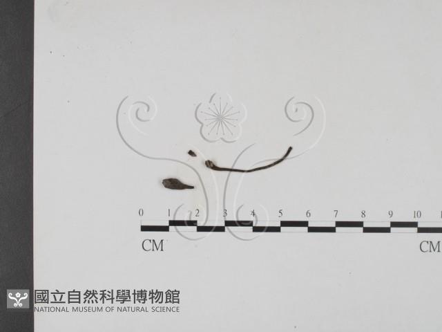 登錄號:F0019687藏品圖，第3張