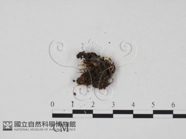 登錄號:F0003687藏品圖，第3張