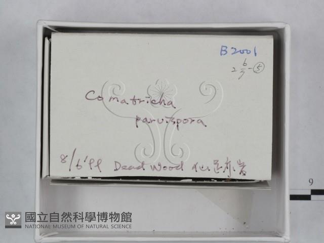 登錄號:F0018487藏品圖，第3張