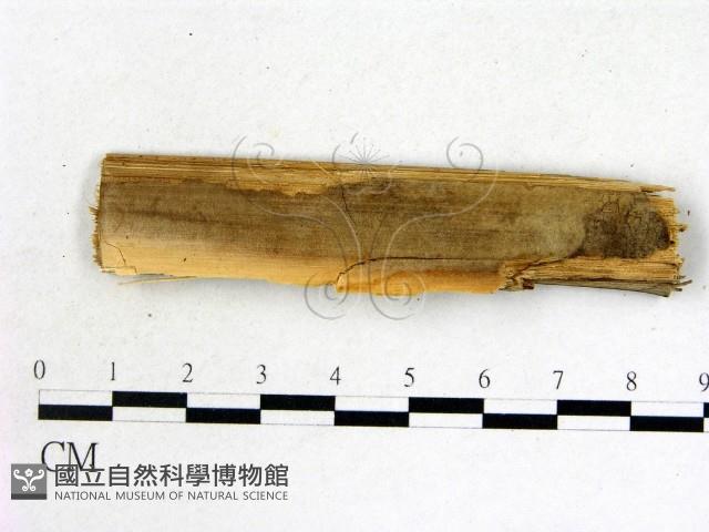 登錄號:F0002787藏品圖，第3張