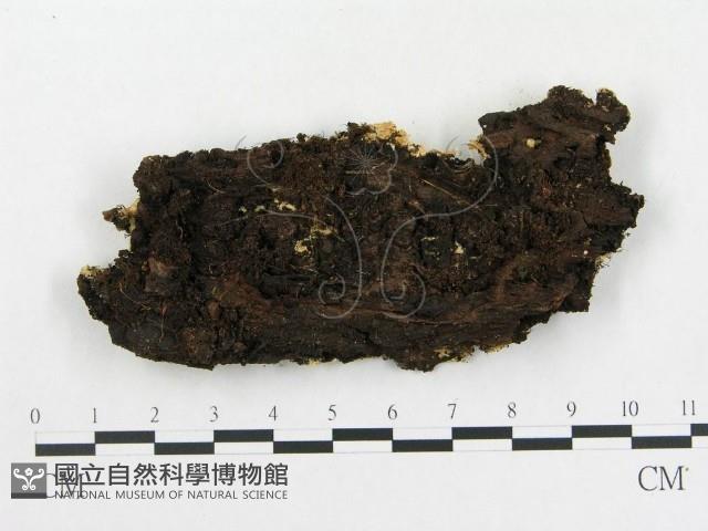 登錄號:F0006587藏品圖，第3張