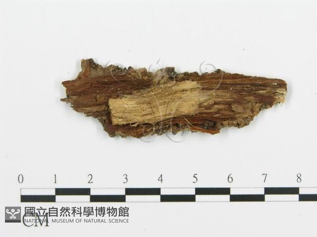 登錄號:F0016587藏品圖，第3張