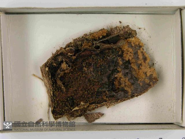 登錄號:F0021587藏品圖，第3張