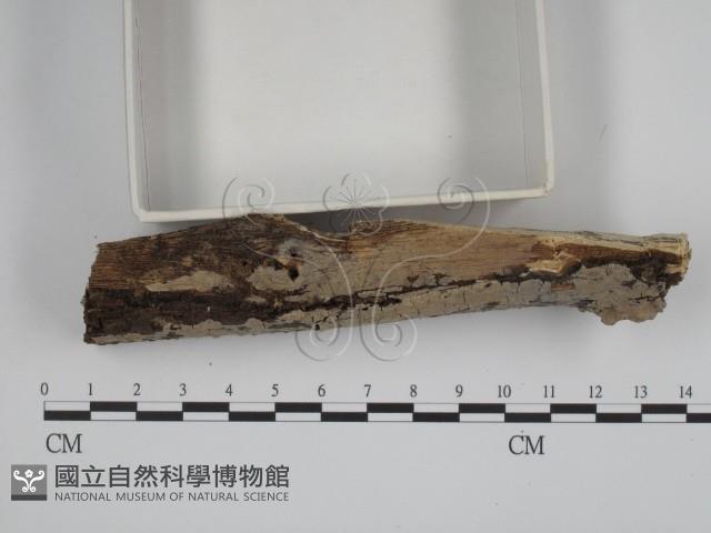 登錄號:F0001587藏品圖，第3張