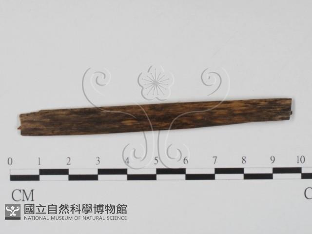 登錄號:F0011587藏品圖，第3張