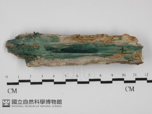登錄號:F0031587藏品圖，第3張