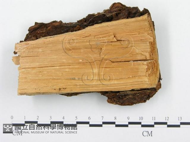 登錄號:F0004587藏品圖，第3張