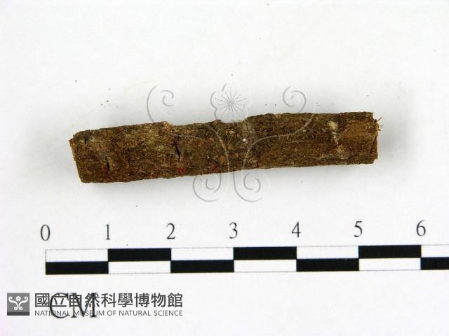 登錄號:F0019587藏品圖，第3張