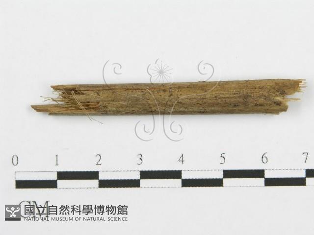 登錄號:F0010187藏品圖，第3張