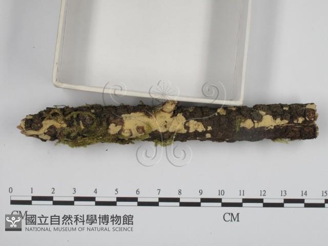 登錄號:F0015187藏品圖，第3張
