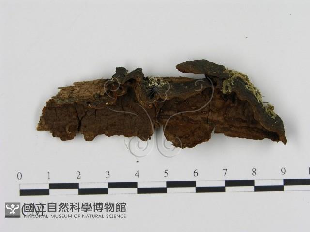 登錄號:F0003187藏品圖，第1張