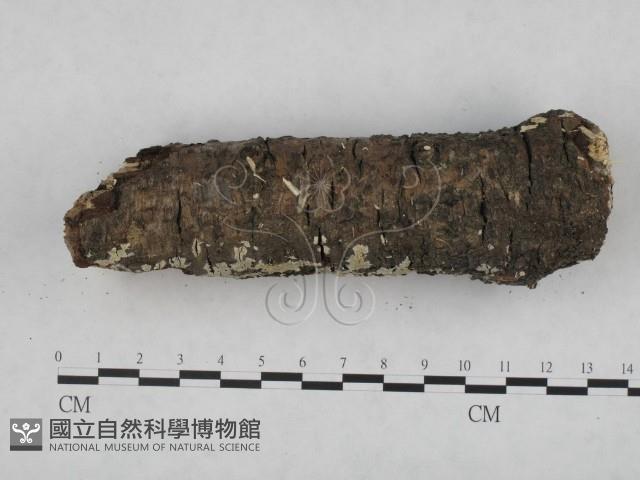 登錄號:F0022087藏品圖，第3張