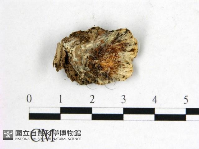 登錄號:F0005087藏品圖，第3張