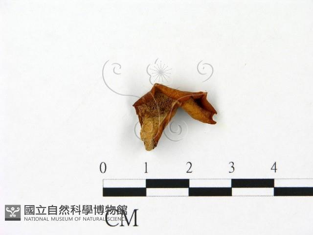 登錄號:F0023087藏品圖，第3張