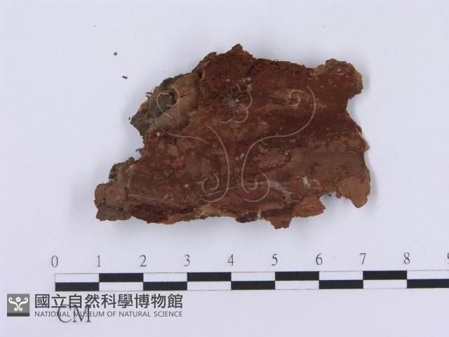 登錄號:F0001387藏品圖，第3張