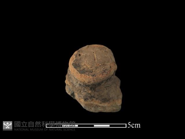 陶蓋鈕藏品圖，第3張