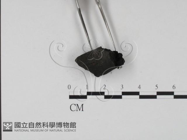 登錄號:F0005125藏品圖，第3張