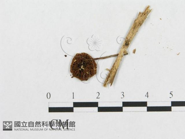 登錄號:F0008405藏品圖，第3張