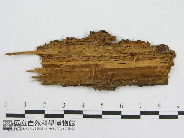 登錄號:F0004505藏品圖，第3張