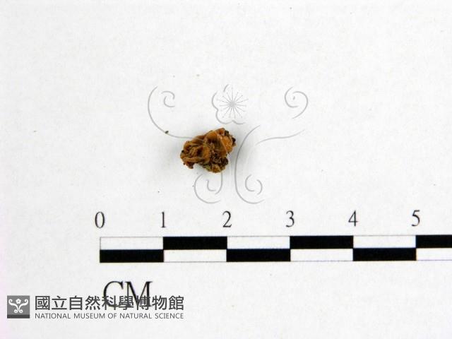 登錄號:F0005505藏品圖，第3張