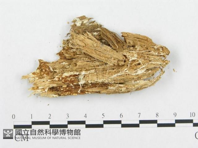 登錄號:F0006005藏品圖，第3張