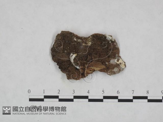 登錄號:F0024005藏品圖，第3張