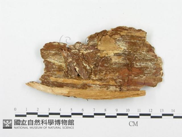 登錄號:F0009415藏品圖，第3張