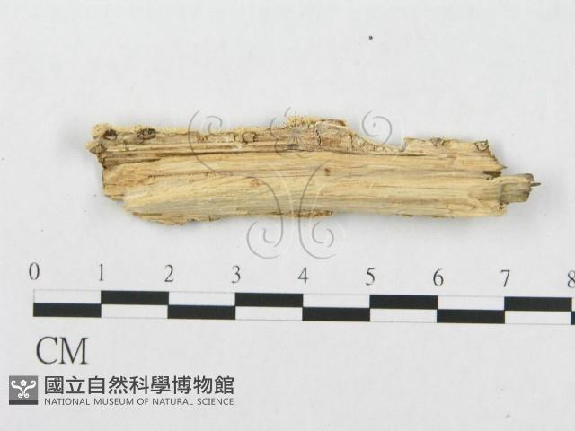 登錄號:F0007115藏品圖，第3張