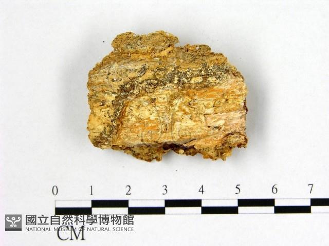 登錄號:F0006995藏品圖，第3張