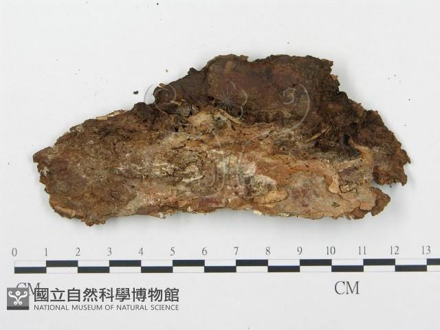 登錄號:F0005995藏品圖，第3張