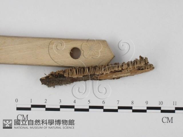 登錄號:F0023995藏品圖，第3張