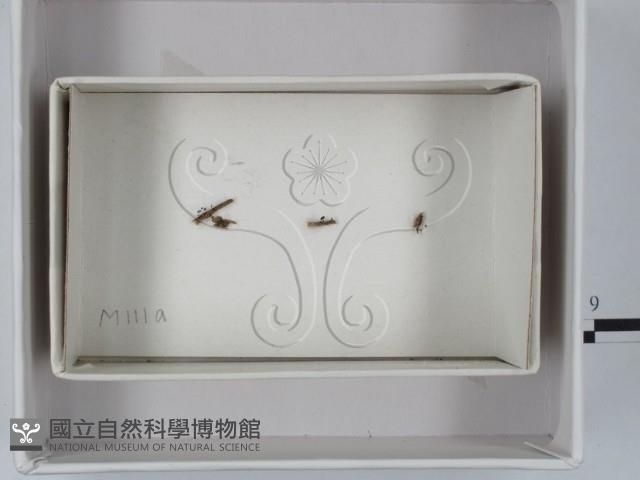 登錄號:F0018495藏品圖，第3張