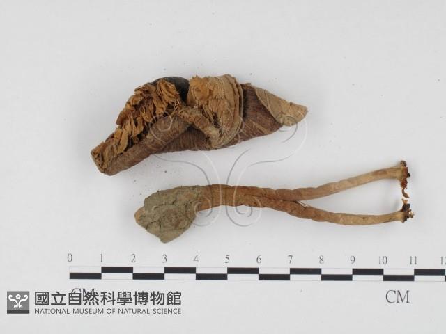 登錄號:F0024495藏品圖，第3張