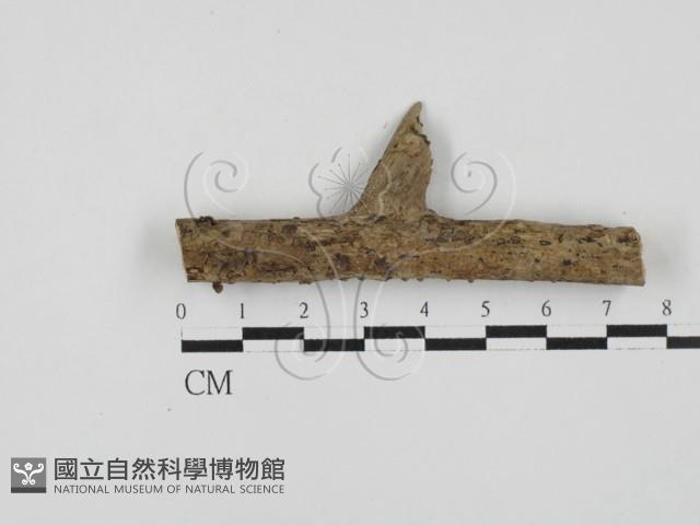 登錄號:F0027795藏品圖，第3張