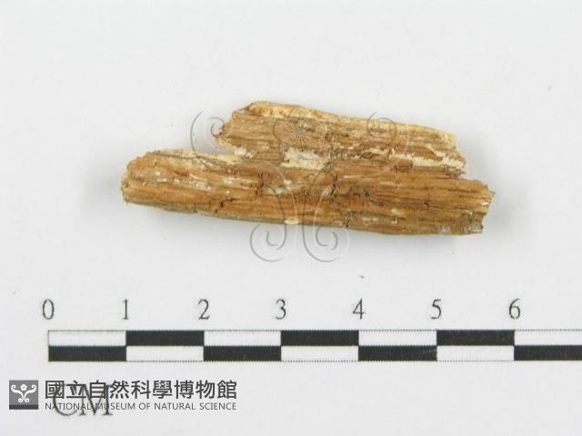 登錄號:F0006095藏品圖，第3張