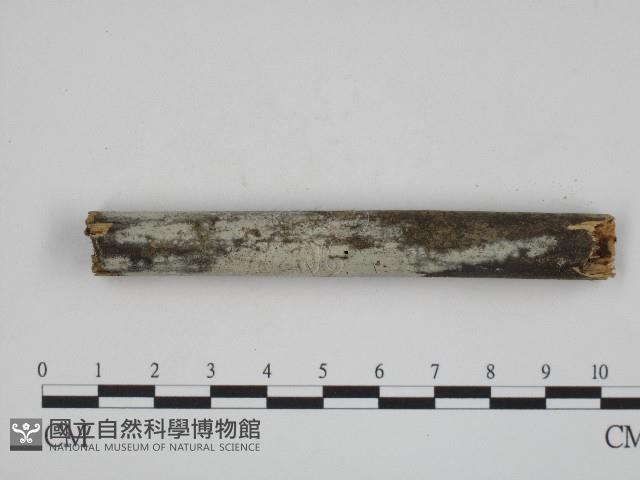 登錄號:F0004095藏品圖，第3張