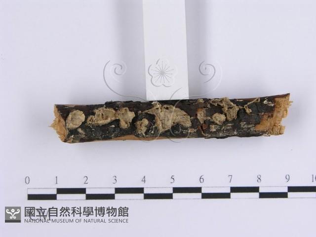 Accession Number:F0005095 Collection Image, Figure 3, Total 6 Figures