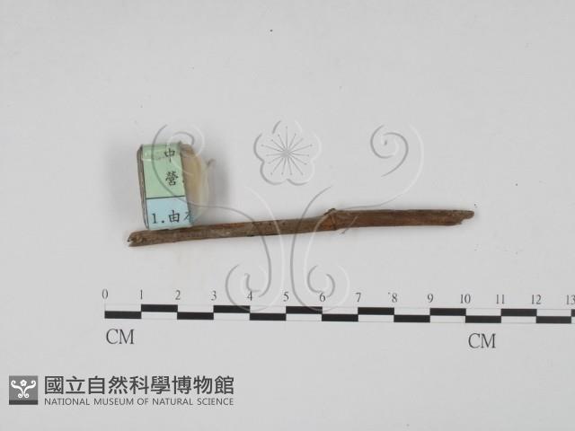 登錄號:F0003095藏品圖，第3張