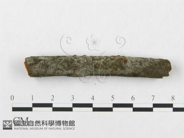 登錄號:F0009285藏品圖，第3張