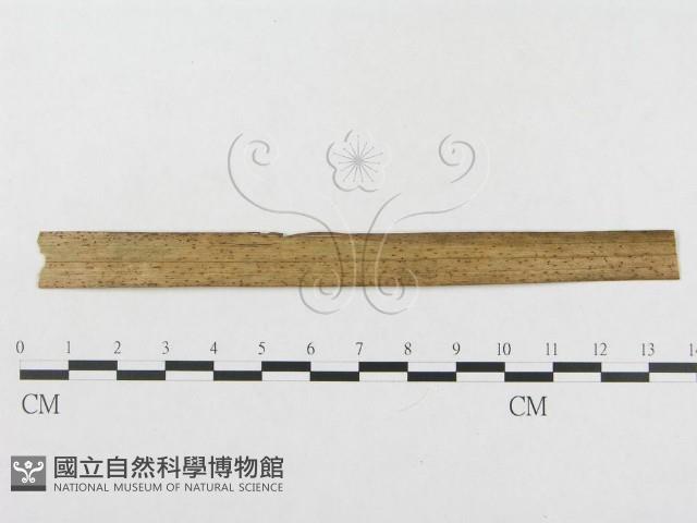登錄號:F0019285藏品圖，第1張