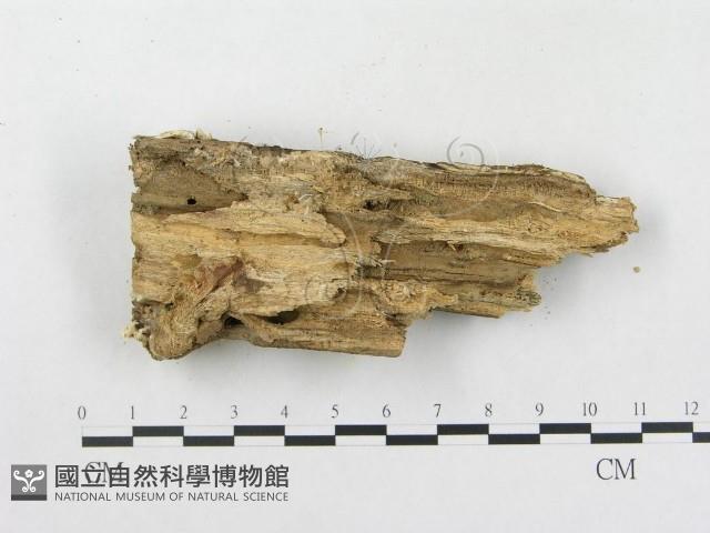 登錄號:F0000885藏品圖，第3張